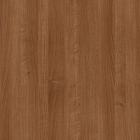 4479 – AMATİ