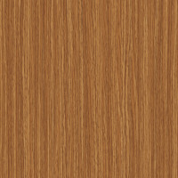 4546 – PINUS ALPI
