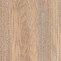 4607 – TWIGLIGHT OAK