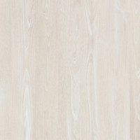 4624 – ASIA CHESTNUT NEW