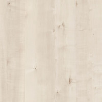 4643 – WHITE BIRCH NEW