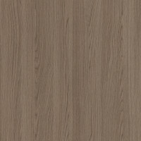 4675 – MARYLAND OAK