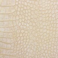 DG14 ALLIGATOR