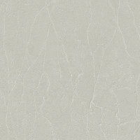 5699 – PEARLY GREY