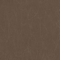 5698 – ZIRCON STONE