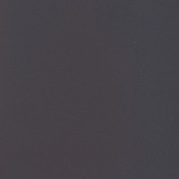 3239 – DARK ASH